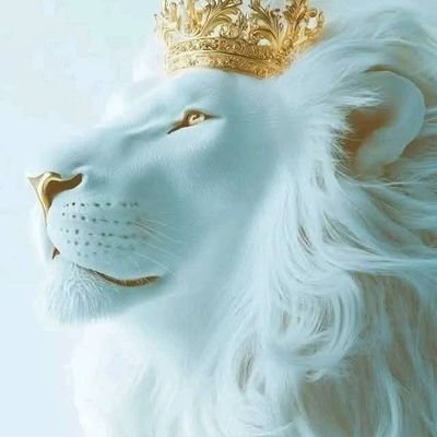 chevythebest23's profile picture. 