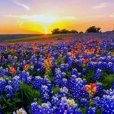 NEO_XO's profile picture. 我是一名来自中国大陆的用户，不需要任何人加我好友，看清楚了吗？否则拉黑。I am a user from mainland China and I don’t need anyone to add me as a friend. Do you understand?Must be blacklisted.