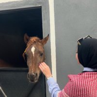 Rn . Nour 🥼🩺 (@n0uret) Twitter profile photo