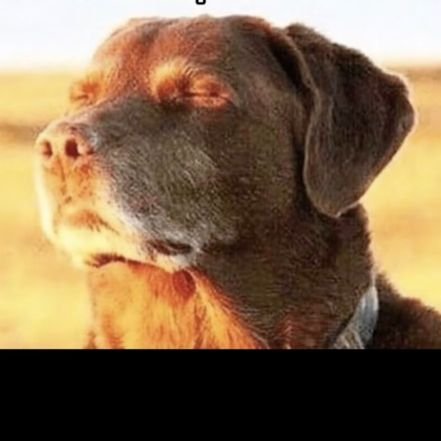 lin_kana83's profile picture. 