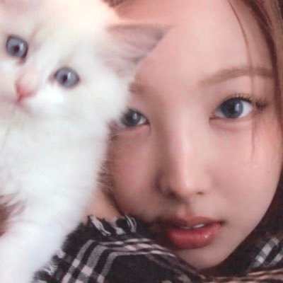 ♥︎ ari 18.10.15 ♥︎ twice 02.02.24 ♥︎ (very inactive)