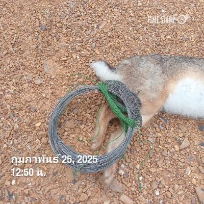 SNoone56566's profile picture. 