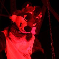 sniff π FWA (@snifftime) 's Twitter Profile