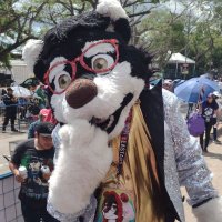 Jabu Husky (@jabuhusky) 's Twitter Profile