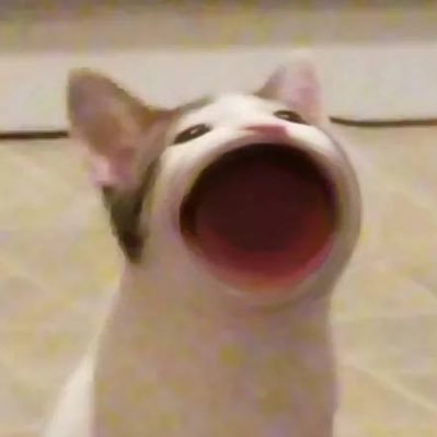 empetrer_'s profile picture. ❄️Do you wanna build a snowman ?☃️