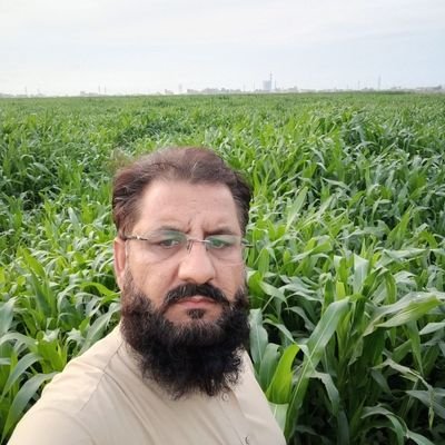 ramzanbhittani's profile picture. Politics  and questionere for mentallity