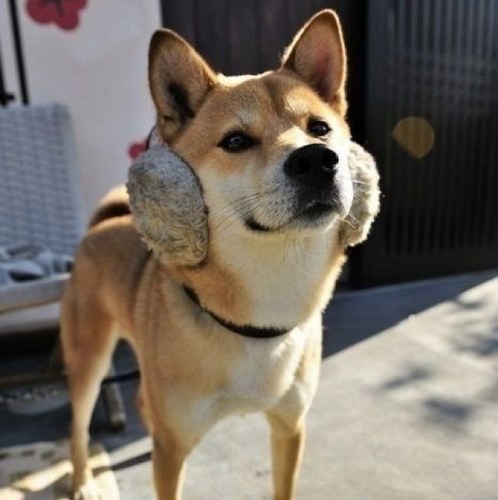 anarchy0317's profile picture. 