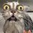 Bheegi_Billi786 avatar