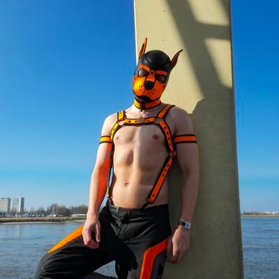 🇩🇪 🐾28🐾He/Him🐾Bi 🐾Switch🐾Pup🐾❤️ Married to @SwaggyShorkAD ❤️