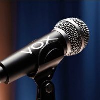 Vox Strategies (@vox_strategies) 's Twitter Profile