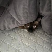 KNessy (@knessy10) Twitter profile photo