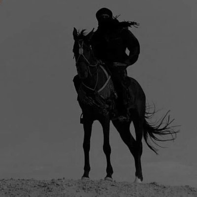 AsafNebi's profile picture. 