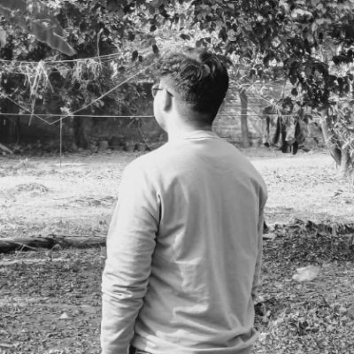 DAyush979's profile picture. Software Developer | Web-Dev