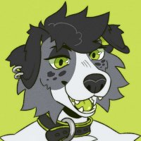 Char π€ (@colliechar) 's Twitter Profile