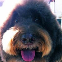 Gulliver Gadfly (@gullivergadfly) 's Twitter Profile Photo Gulliver Gadfly (@gullivergadfly) 's Twitter Profile Photo