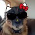 Luis (@luiisznn) Twitter profile photo Luis (@luiisznn) Twitter profile photo
