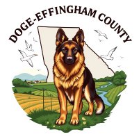 DOGE EFFINGHAM (@dogeeffingham) 's Twitter Profile
