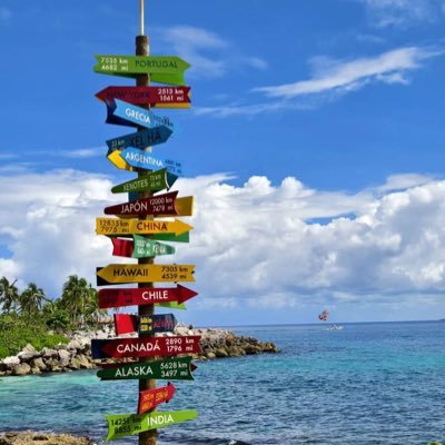 Rex340702566597's profile picture. 