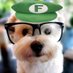 sincerely, poli (@policiabolivia) Twitter profile photo sincerely, poli (@policiabolivia) Twitter profile photo