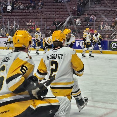 I love writing & I'm hockey obsessed.. so, I started a hockey blog! Writer for @inside_the_rink | Tristan Jarry defender! #1 Kepler fan & #1 McGroarty fan