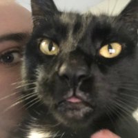 Babs (@fvckindweeb) 's Twitter Profile