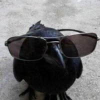 krowvs (@krowvs) 's Twitter Profile Photo krowvs (@krowvs) 's Twitter Profile Photo