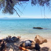 Rami Ramadan (@ramiramantan) 's Twitter Profile Photo