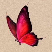 RIM (@rimreeo) 's Twitter Profile Photo