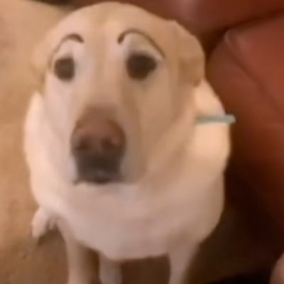 CarmonaCar20950's profile picture. 