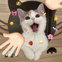 crypto_none. (@kaemiy_none) 's Twitter Profile