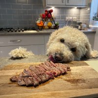 Steve ⚒🥊 (@srhack123) 's Twitter Profile Photo