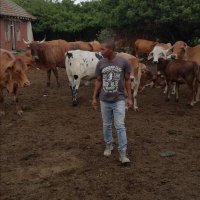 M. Zungu (@2bhobho9) 's Twitter Profile Photo M. Zungu (@2bhobho9) 's Twitter Profile Photo