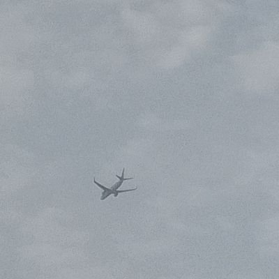 JohnTouray16471's profile picture. 