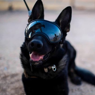 imfastasfsckboi's profile picture. Iraq veteran. Crayon eater. Dog lover. Amateur computer programmer, language nerd, law geek.