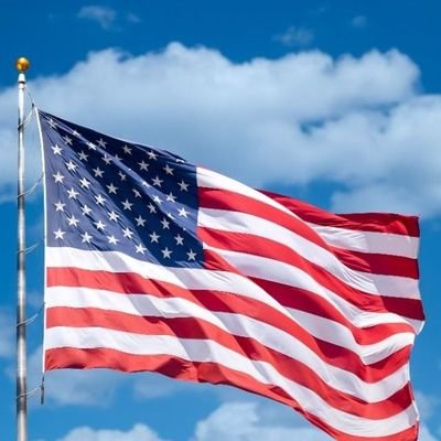 Donaldtrumpage0's profile picture. God Bless America 🇱🇷