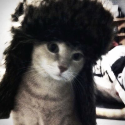 renverie13's profile picture. chop off my head like marie antoinette