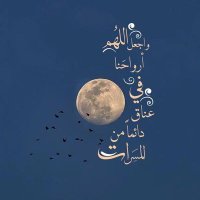 ابو عبدالله .. (@fhadalqhta61152) Twitter profile photo