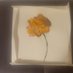 Lucky Flower Art (@luckyflowerart) Twitter profile photo Lucky Flower Art (@luckyflowerart) Twitter profile photo