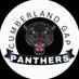 Cumberland Gap Baseball (@gapbaseball) Twitter profile photo Cumberland Gap Baseball (@gapbaseball) Twitter profile photo