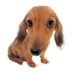 milo (@milowbrg) Twitter profile photo milo (@milowbrg) Twitter profile photo
