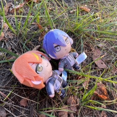 Растение🌿さんのプロフィール画像