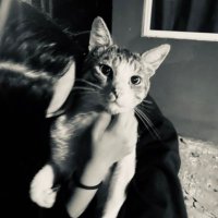 soff (@sofiit4_) 's Twitter Profile