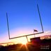 Dr.GoalPost (@nflpolitics101) Twitter profile photo Dr.GoalPost (@nflpolitics101) Twitter profile photo