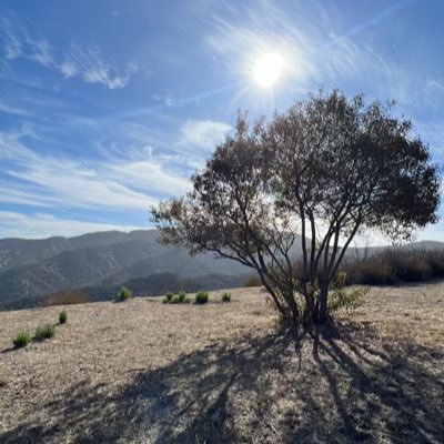 Founder: @WesBanksMusic Do you want to be healthy? Do you want mental clarity? Join us to align with your higher self MORNING HIKES ONLY! Email or DM