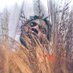 ToxicTeaBag (@creepyjigga) Twitter profile photo ToxicTeaBag (@creepyjigga) Twitter profile photo