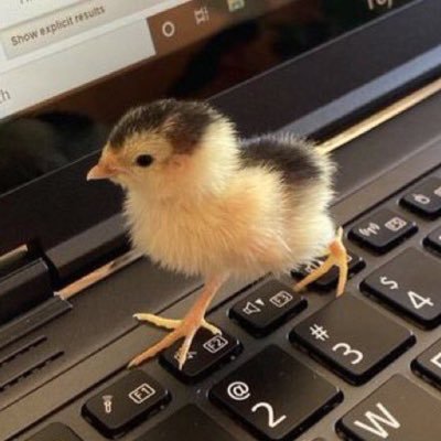 jaeさんのプロフィール画像
