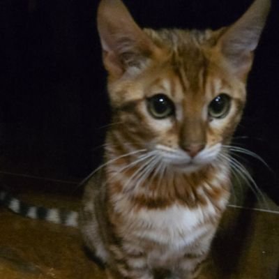 Caseyz76's profile picture. watch axel grow and play