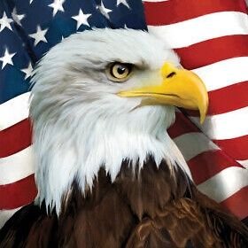 Trump supporter 🇱🇷 PATRIOT 🇱🇷 MAGA, MAHA! 🚫 DM 🚫 PORN