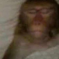 carl (@carljunxi) 's Twitter Profile