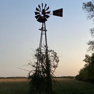 CStabers's profile picture. 20 year tradesman. Another 13 yrs as big boss on big builds, the NIMBY type. Sober, married and praying for Grace. Weekend tree farmer and pissed off American.